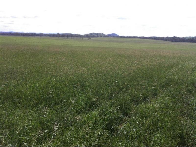 Biggenden QLD 4621