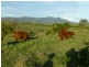 Dallarnil QLD 4621