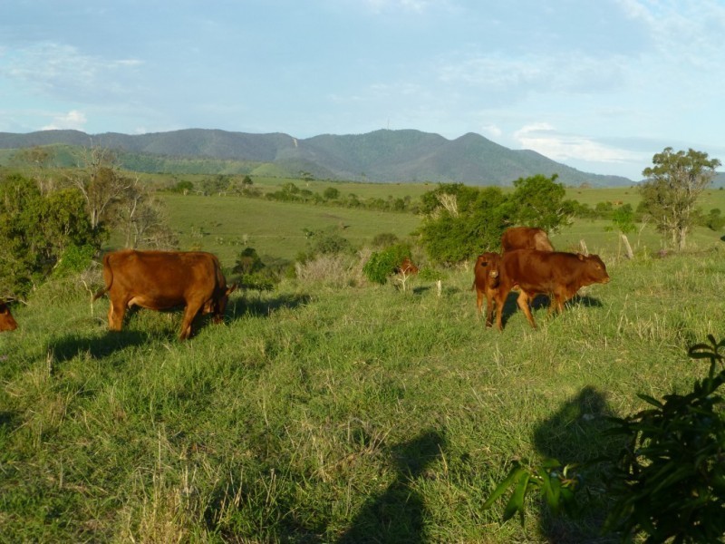 Dallarnil QLD 4621