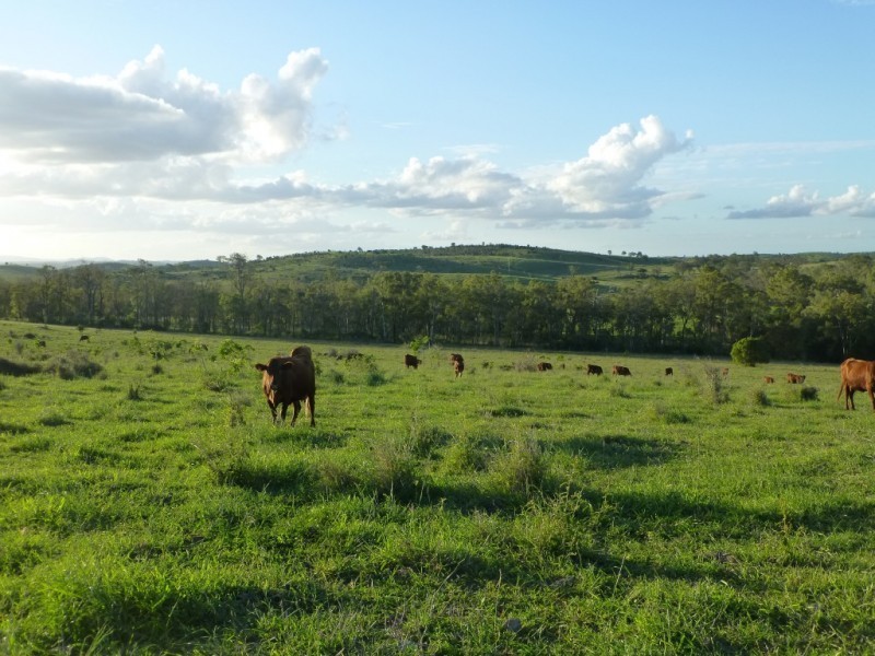 Dallarnil QLD 4621