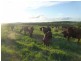 Dallarnil QLD 4621