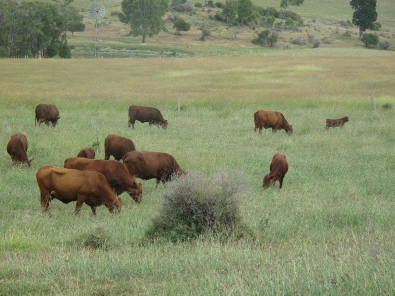 Dallarnil QLD 4621