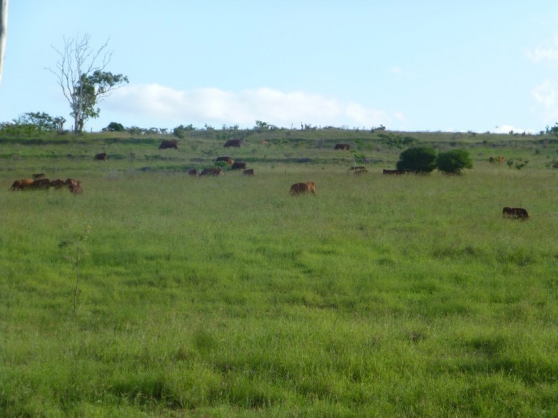 Dallarnil QLD 4621