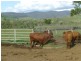 Dallarnil QLD 4621