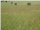 Dallarnil QLD 4621