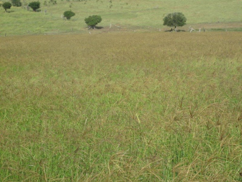Dallarnil QLD 4621