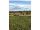 120 BOOYAL-DALLARNIL ROAD, Dallarnil QLD 4621
