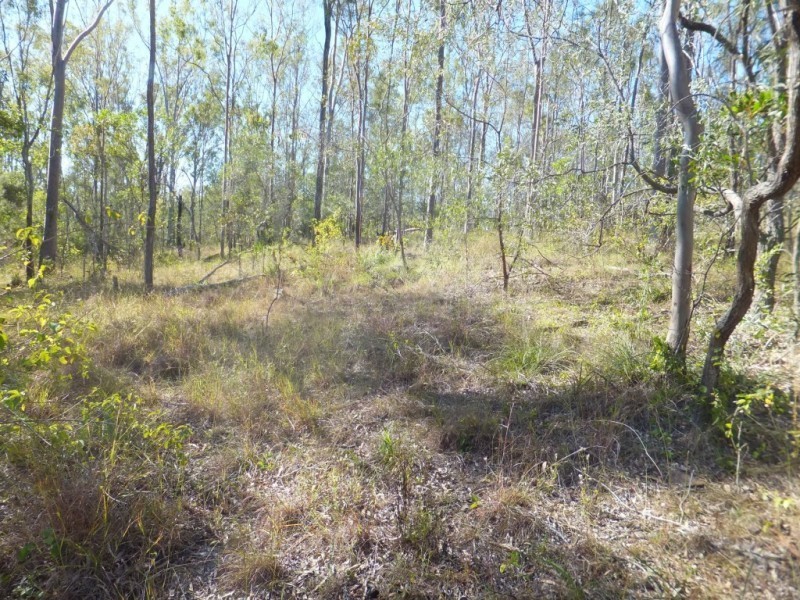 Kullogum QLD 4660