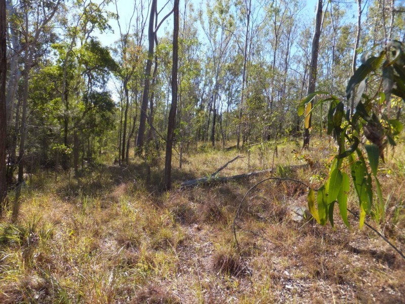 Kullogum QLD 4660