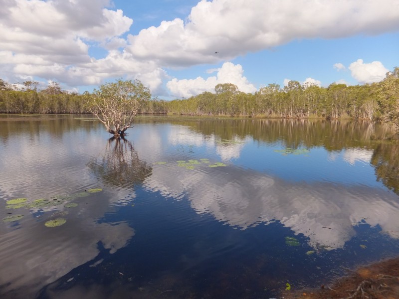 35 FLYNN DRIVE, Redridge QLD 4660