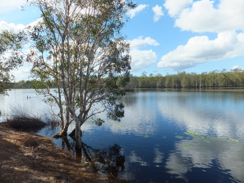 35 FLYNN DRIVE, Redridge QLD 4660