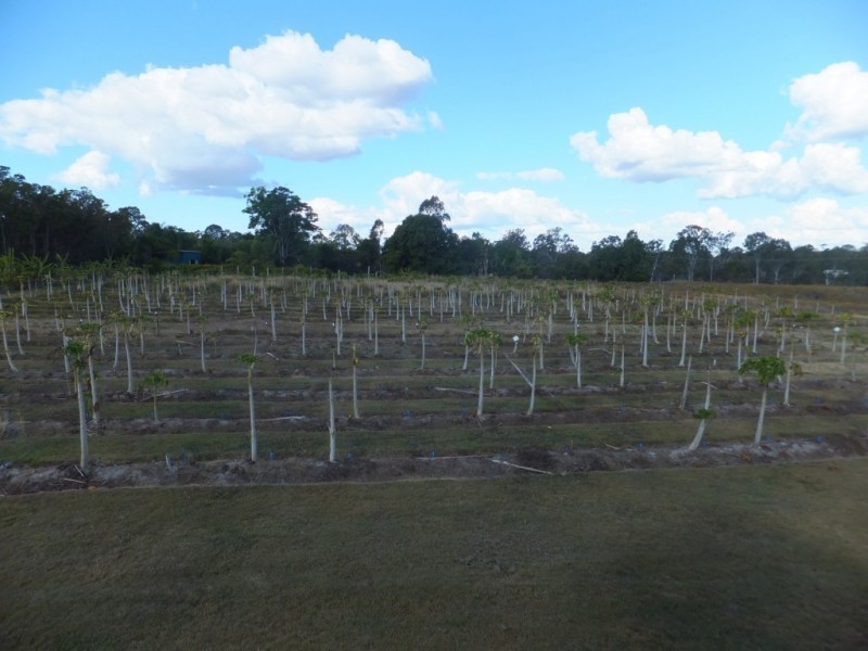 42 REDRIDGE CRESCENT, Redridge QLD 4660