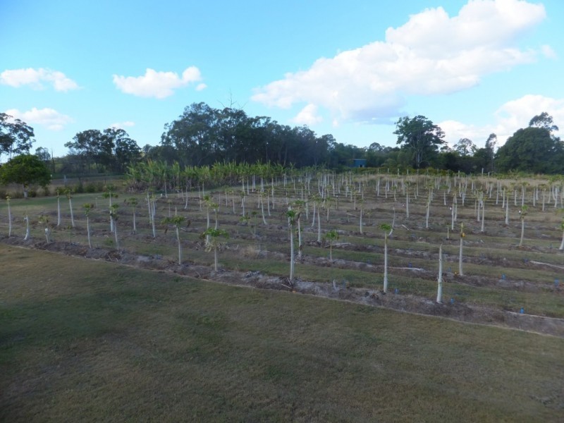 42 REDRIDGE CRESCENT, Redridge QLD 4660