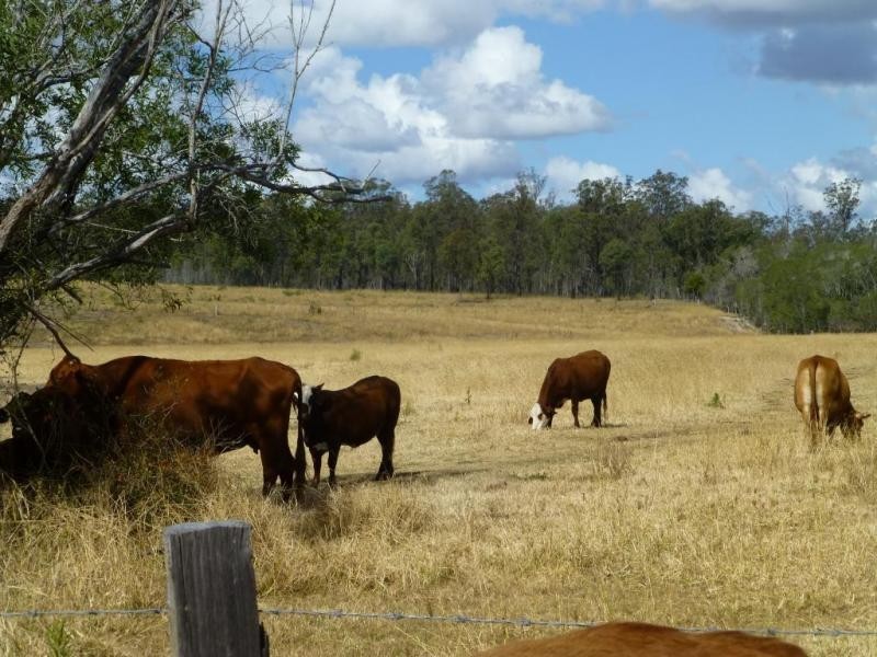 663 LOESKOWS ROAD, Booyal QLD 4671