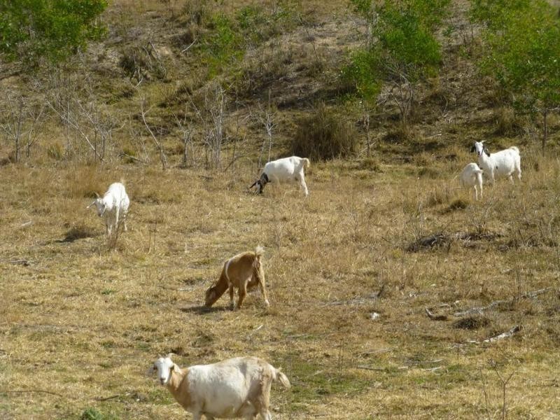 663 LOESKOWS ROAD, Booyal QLD 4671