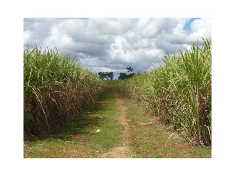 Lot 35, GOODWOOD ROAD, Redridge QLD 4660