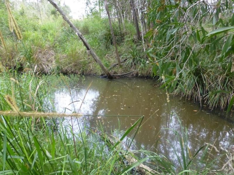 Lot 52,  TARDA’S ROAD, Cordalba QLD 4660