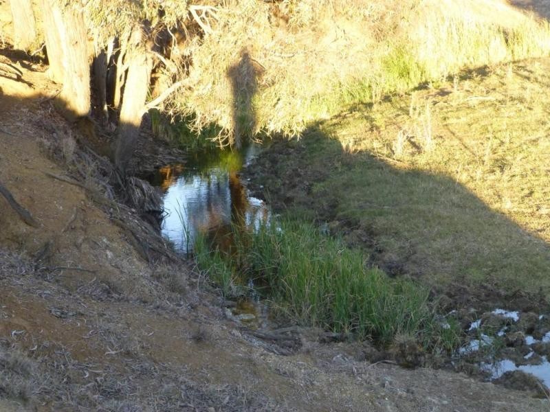 Coalstoun Lakes QLD 4621