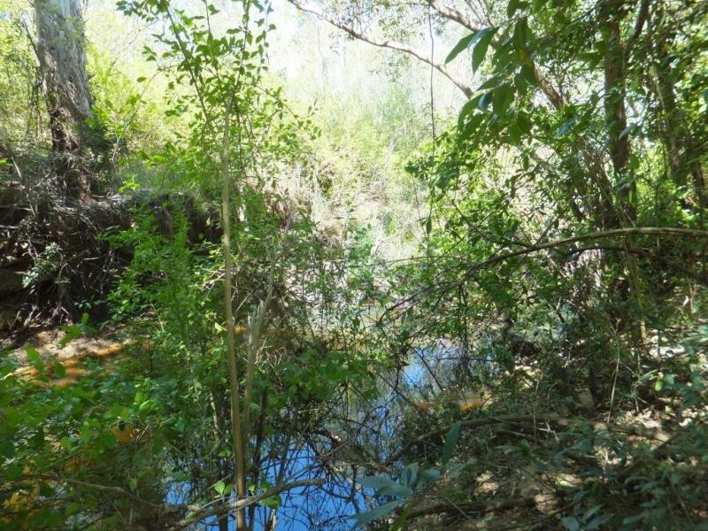 20 MISTY GUMS DRIVE, Apple Tree Creek QLD 4660