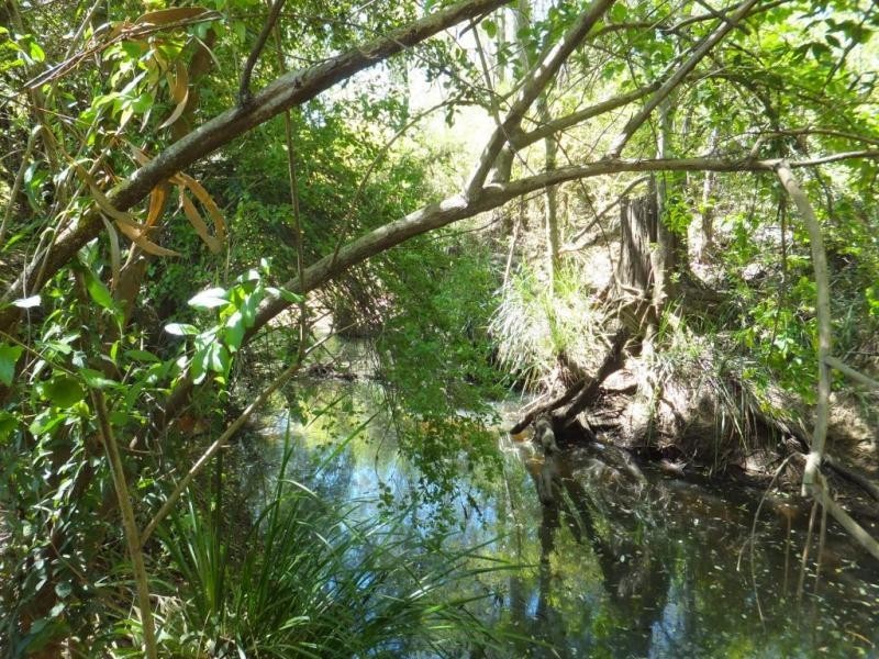 20 MISTY GUMS DRIVE, Apple Tree Creek QLD 4660