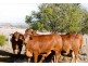 Dallarnil QLD 4621