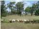 Dallarnil QLD 4621