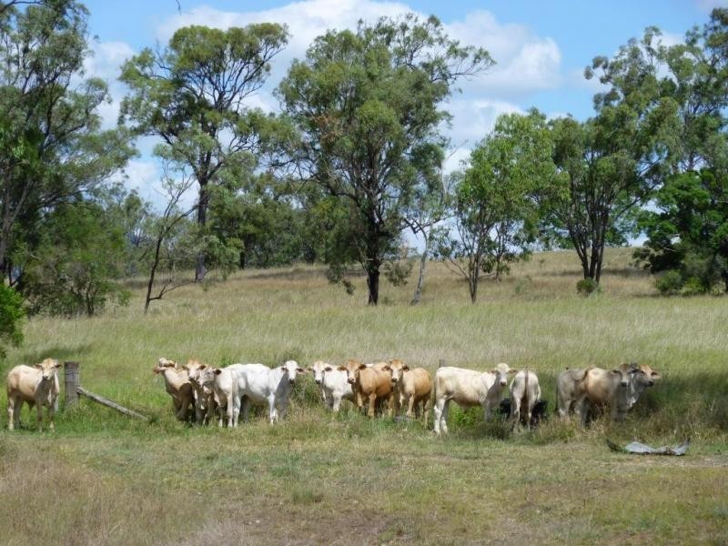 Dallarnil QLD 4621