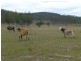 Ban Ban QLD 4625