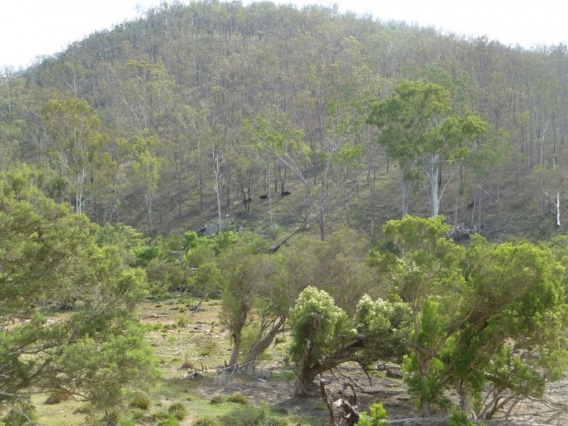 Ban Ban QLD 4625