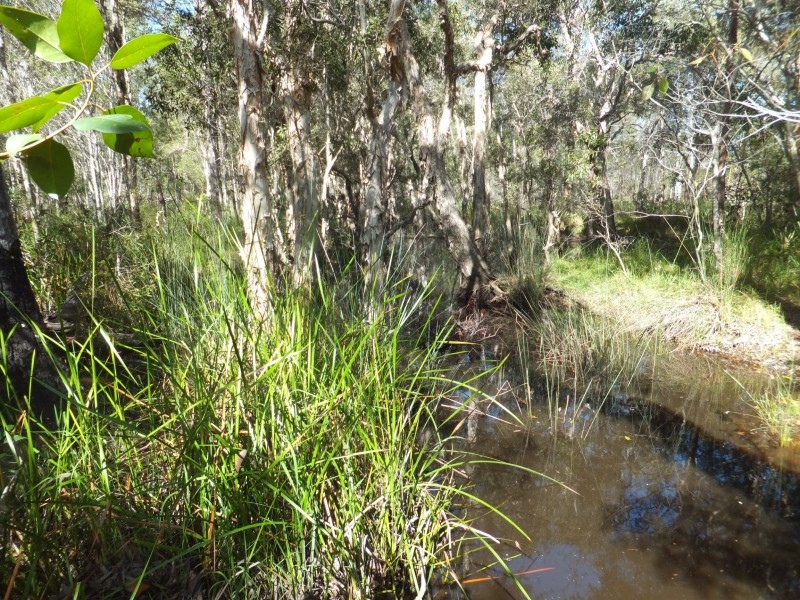 11 OAKVIEW DRIVE, Redridge QLD 4660