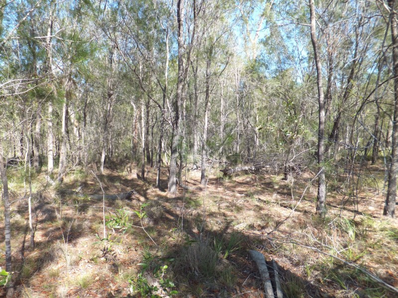 11 OAKVIEW DRIVE, Redridge QLD 4660