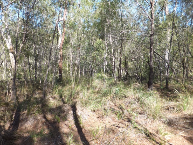 11 OAKVIEW DRIVE, Redridge QLD 4660