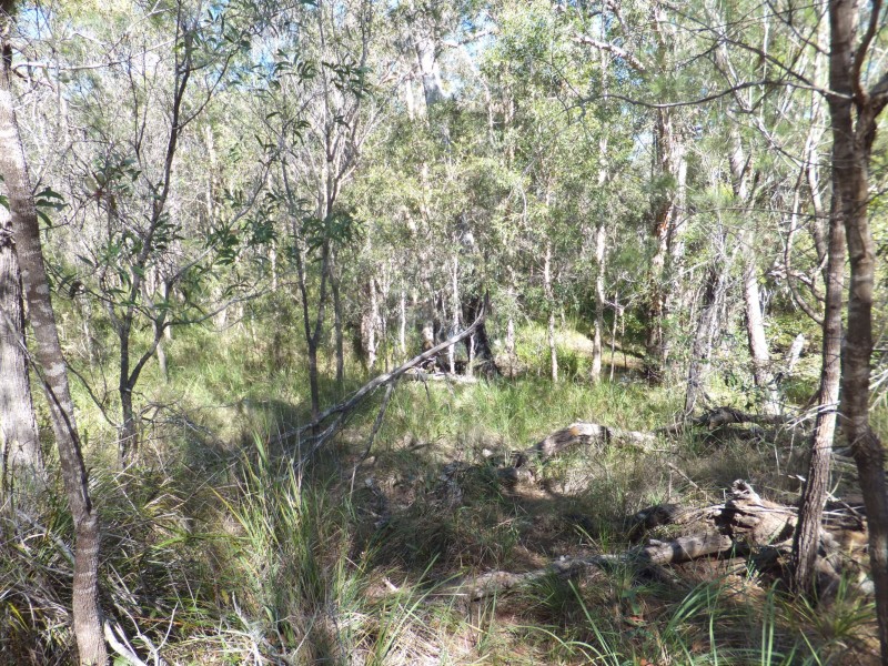 11 OAKVIEW DRIVE, Redridge QLD 4660