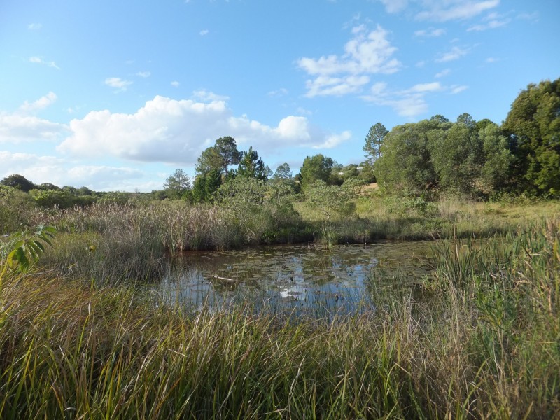 173 ATC HALL ROAD, North Isis QLD 4660