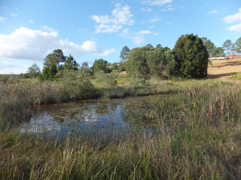 173 ATC HALL ROAD, North Isis QLD 4660