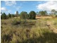 173 ATC HALL ROAD, North Isis QLD 4660