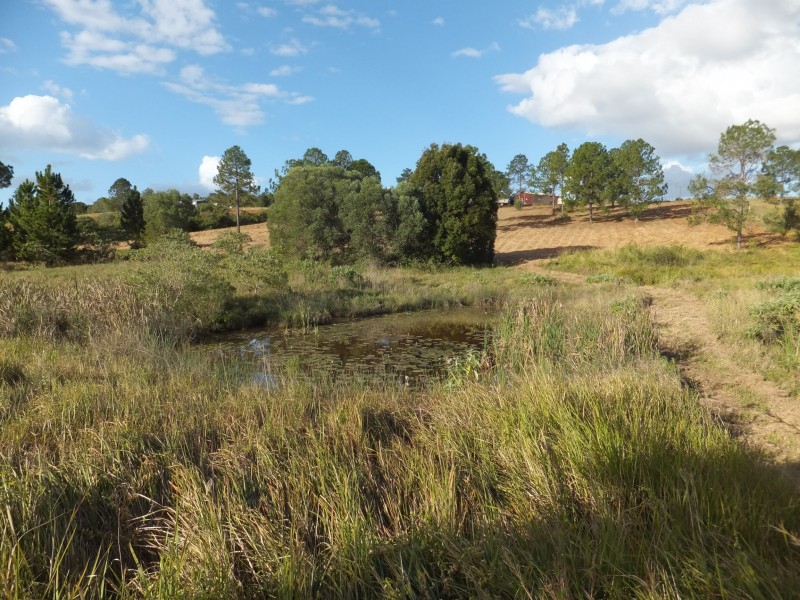 173 ATC HALL ROAD, North Isis QLD 4660