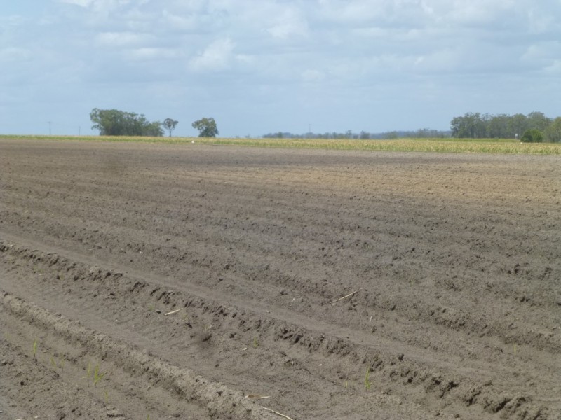 2 MCDONALDS ROAD, Farnsfield QLD 4660