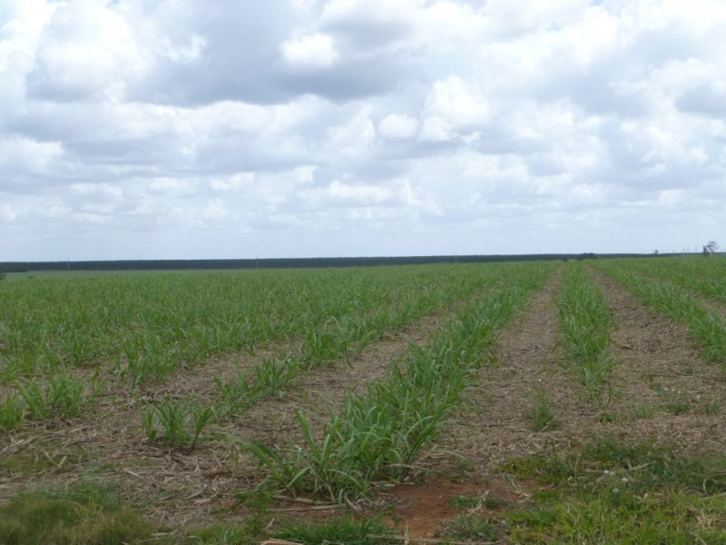 2 MCDONALDS ROAD, Farnsfield QLD 4660