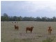Lot 2,  MT WOOWOONGA ROAD, Woowoonga QLD 4621
