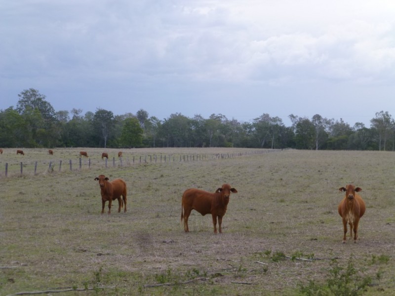 Lot 2,  MT WOOWOONGA ROAD, Woowoonga QLD 4621
