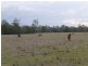 Lot 2,  MT WOOWOONGA ROAD, Woowoonga QLD 4621