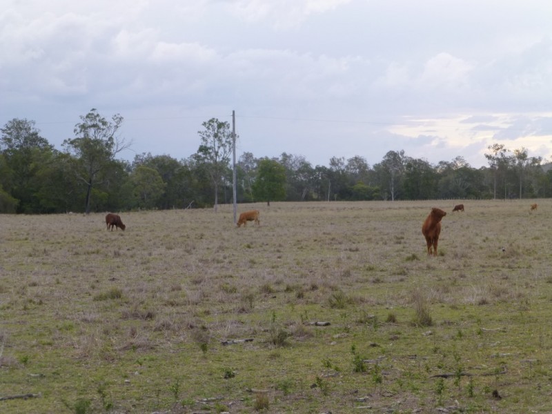 Lot 2,  MT WOOWOONGA ROAD, Woowoonga QLD 4621