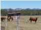 Lot 2,  MT WOOWOONGA ROAD, Woowoonga QLD 4621