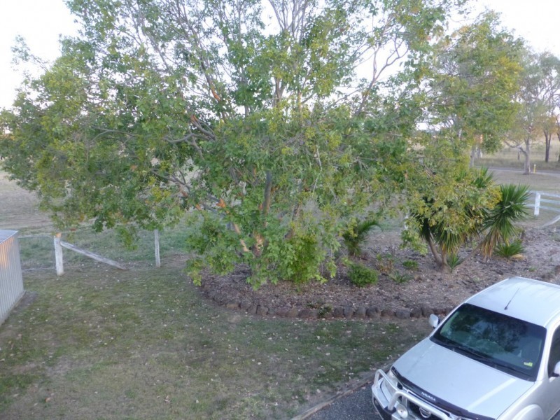 798 GOOROOLBA BIGGENDEN ROAD, Degilbo QLD 4621
