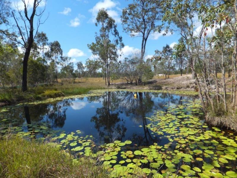 1400 BUXTON ROAD, Buxton QLD 4660