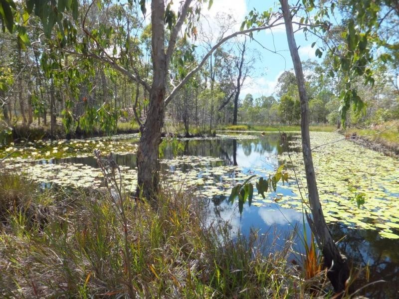 1400 BUXTON ROAD, Buxton QLD 4660