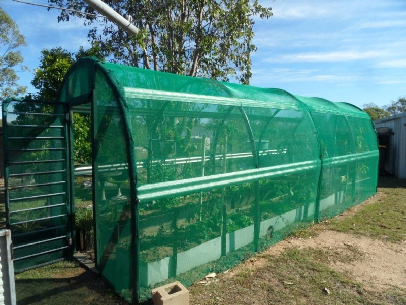 260 WOOWOONGA HALL ROAD, Woowoonga QLD 4621