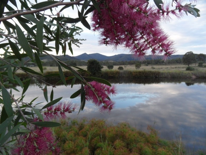 260 WOOWOONGA HALL ROAD, Woowoonga QLD 4621