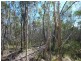 1575 BUXTON ROAD, Buxton QLD 4660